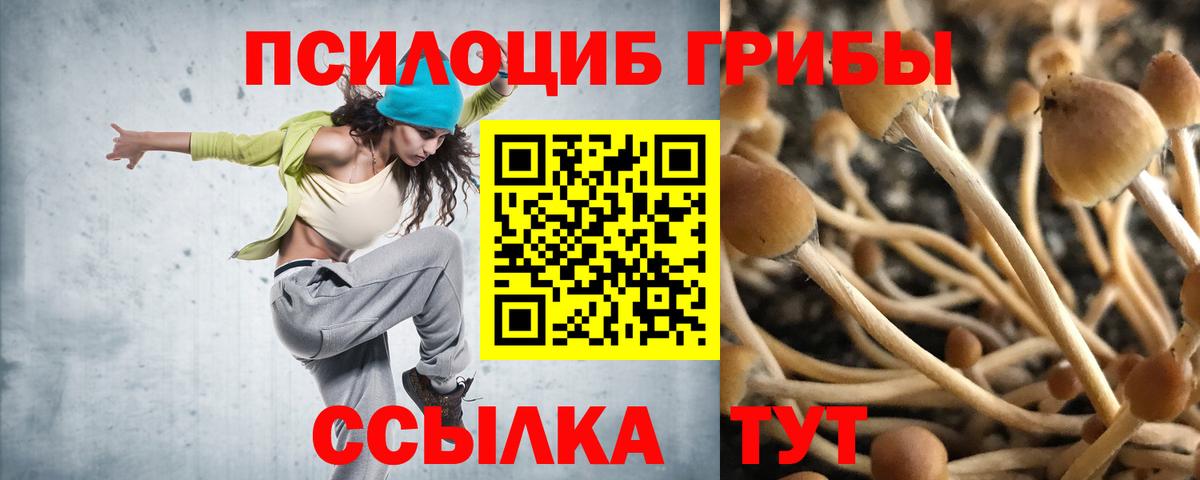 Псилоцибиновые грибы Cubensis Кудрово