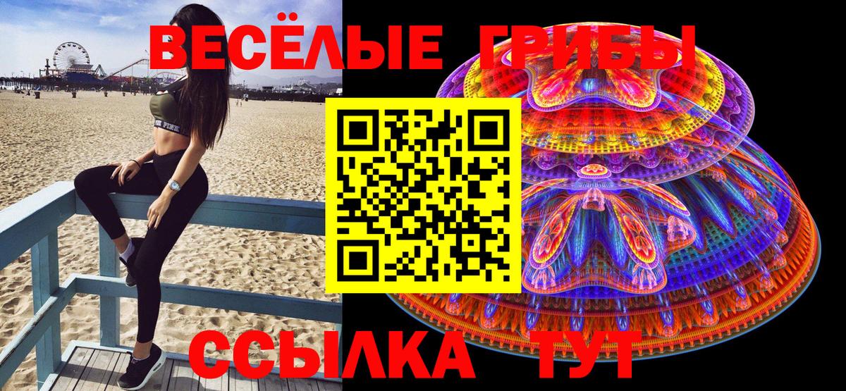 Кудрово  Псилоцибиновые грибы GOLDEN TEACHER  Вход с VPN  дарнет шоп  Галлюциногенные грибы Cubensis 
